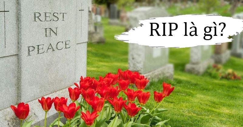 Bạn có biết ý nghĩa của từ R.I.P mà mọi người hay dùng?